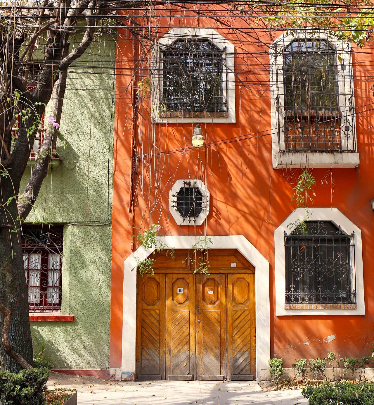 House in Roma Norte, Mexico City