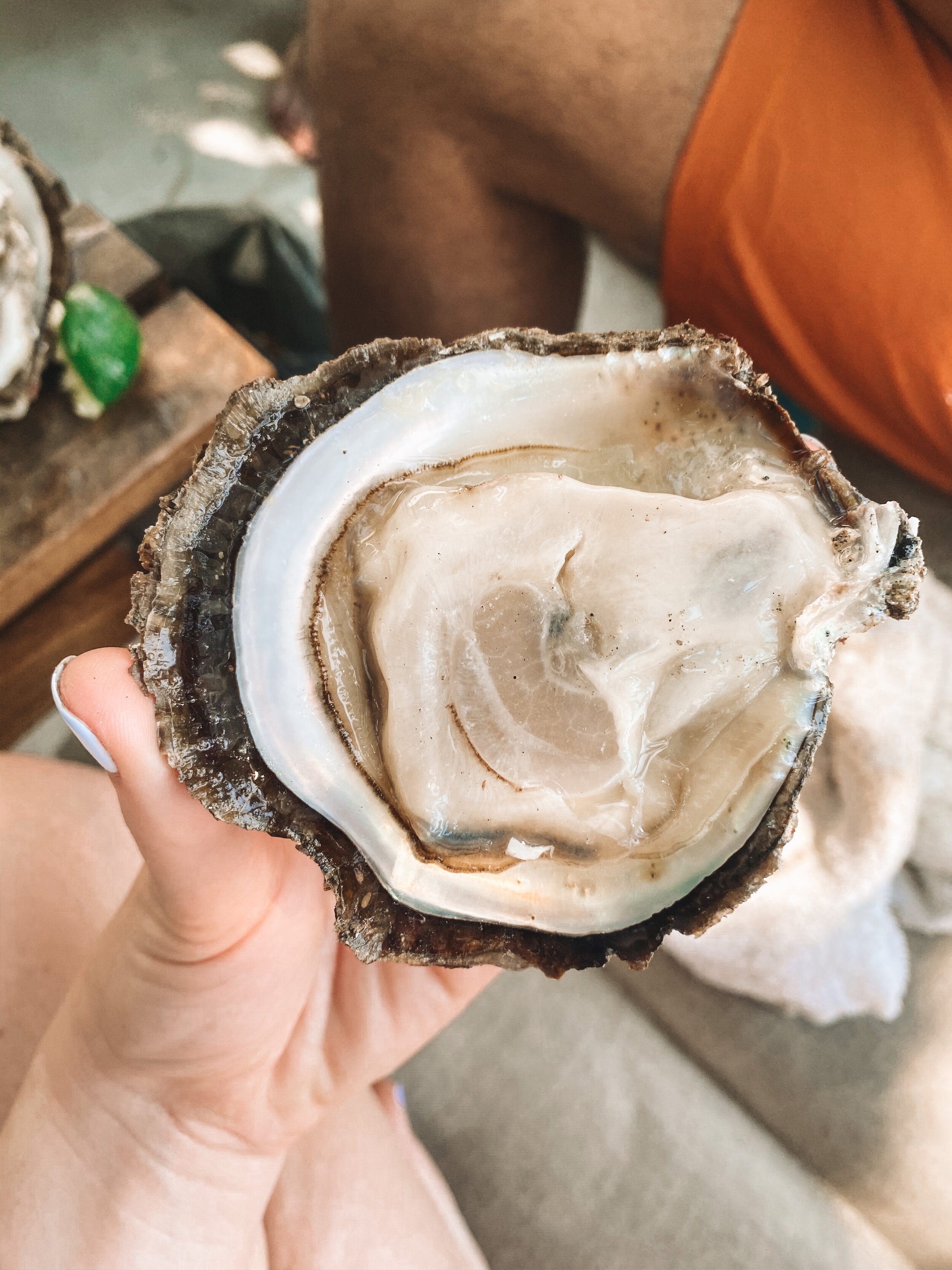 Raw oysters from the local fishermen