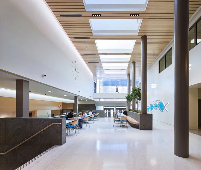salk_hall_large7.jpg