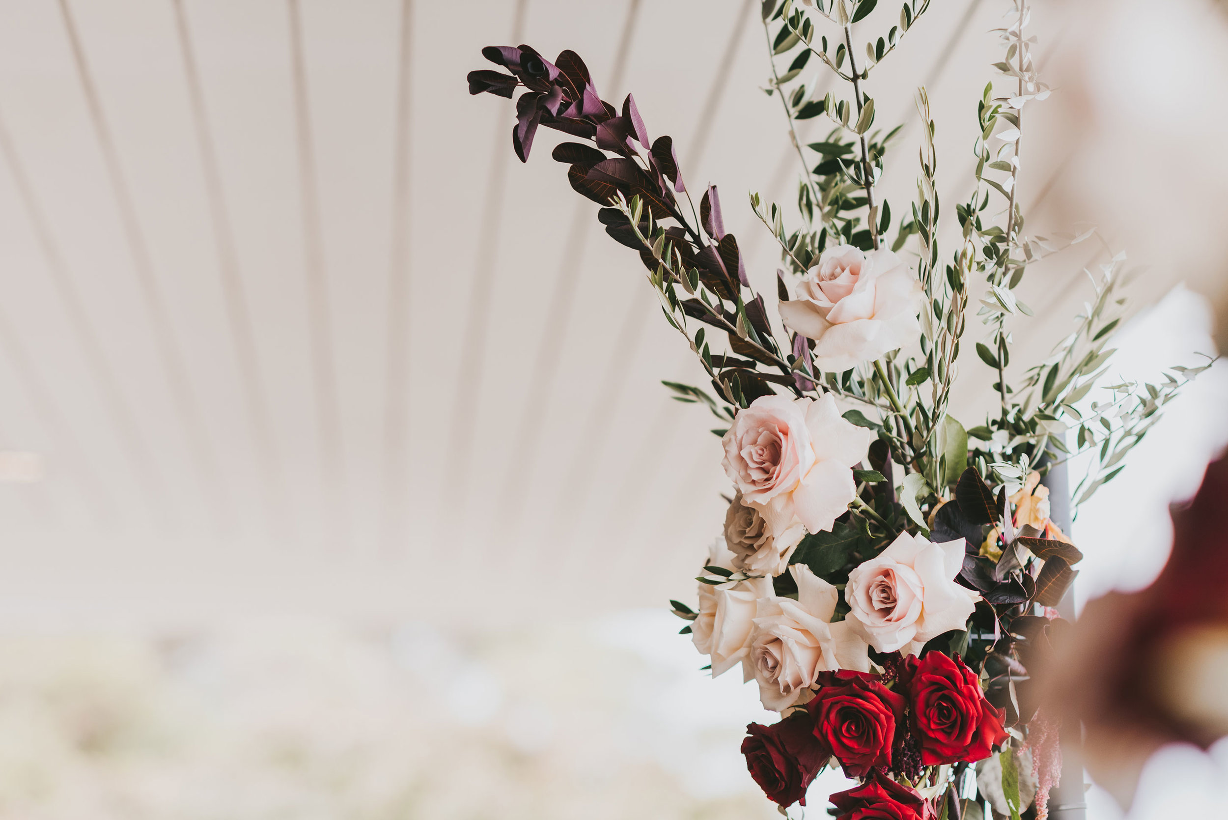 sydney_wedding_florist_opening_banner2.jpg