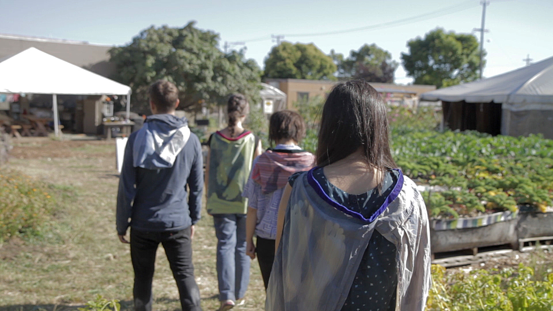 ccs_2014_06_29_0391.MOV.Still004.jpg