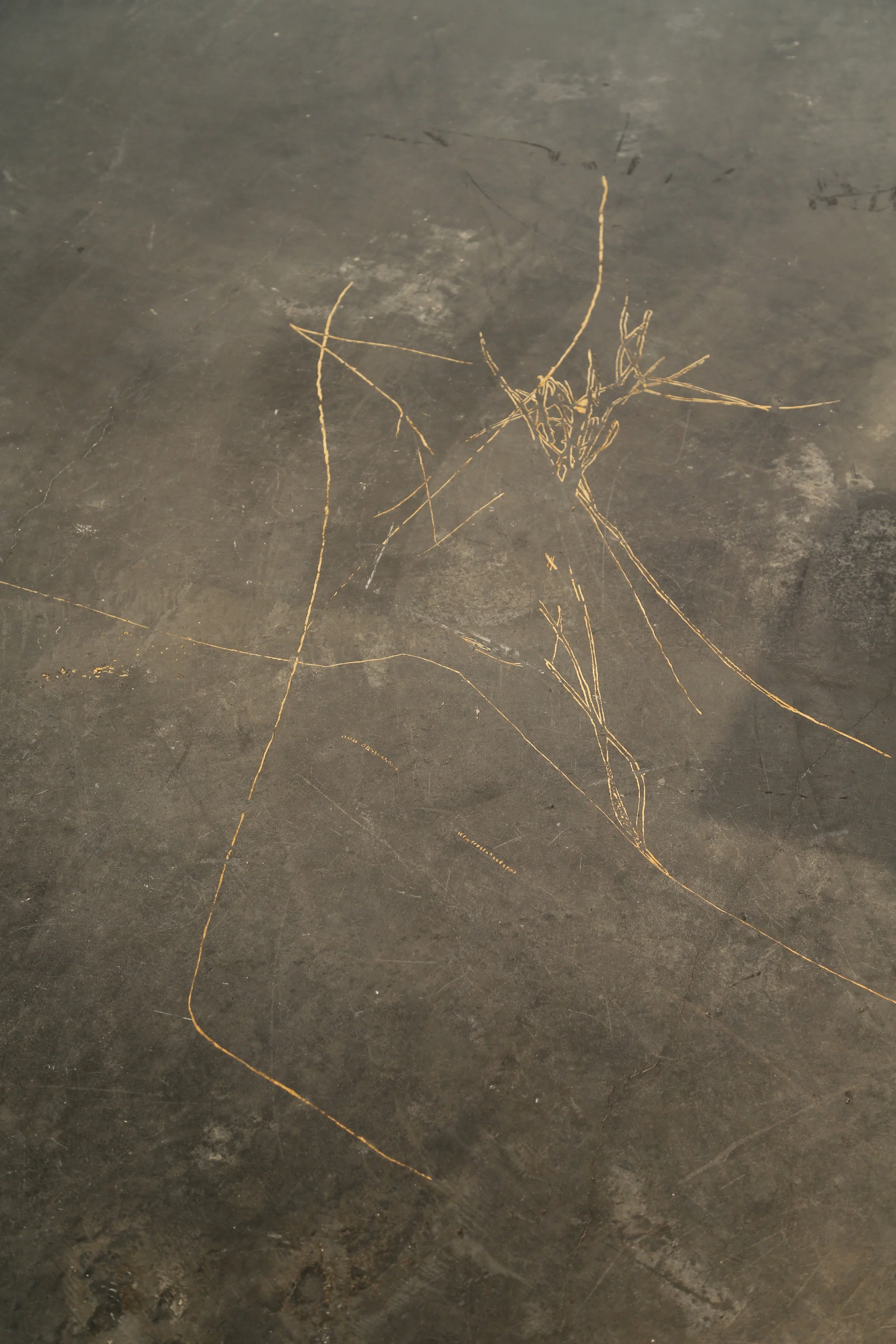 4B9A0289.JPG