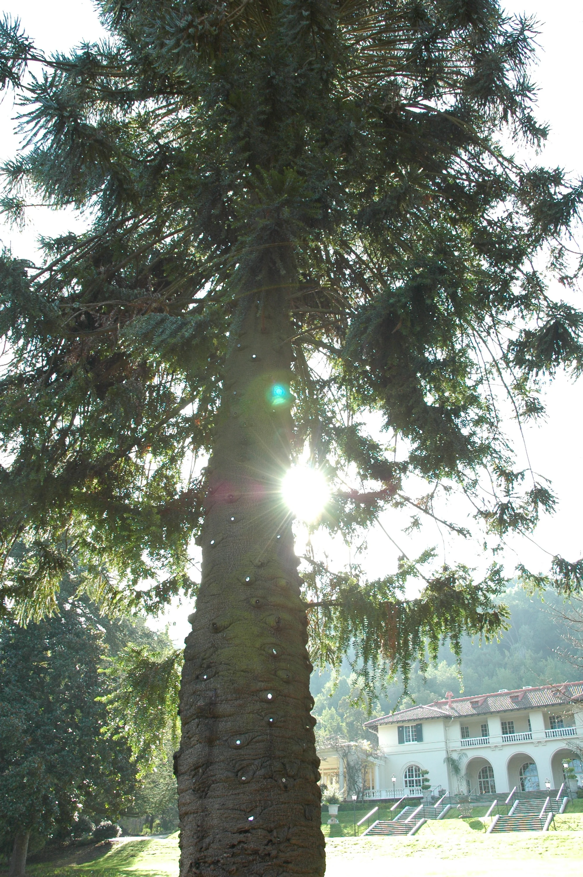 From Within So Without