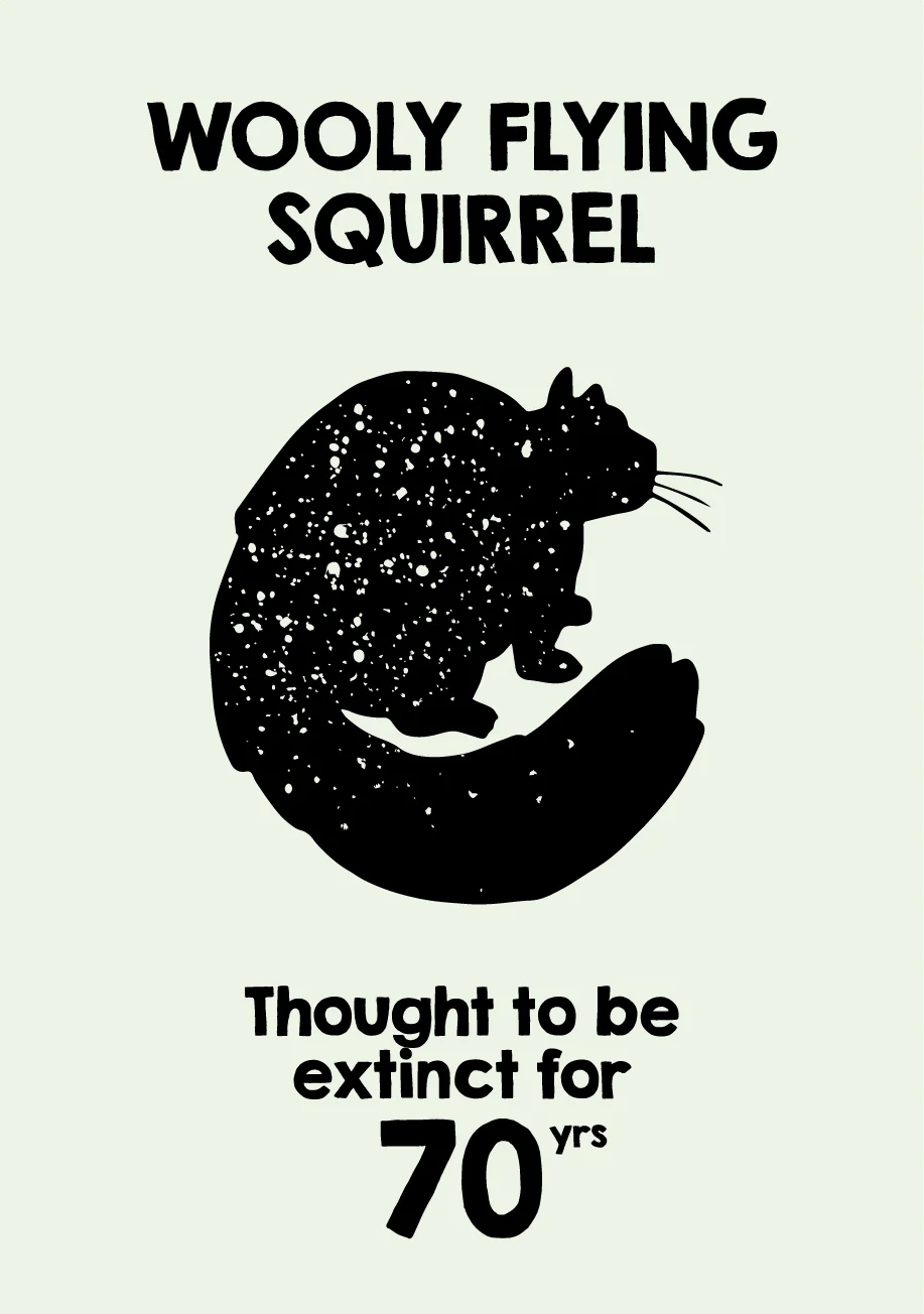 CARDS-11 (2).jpg