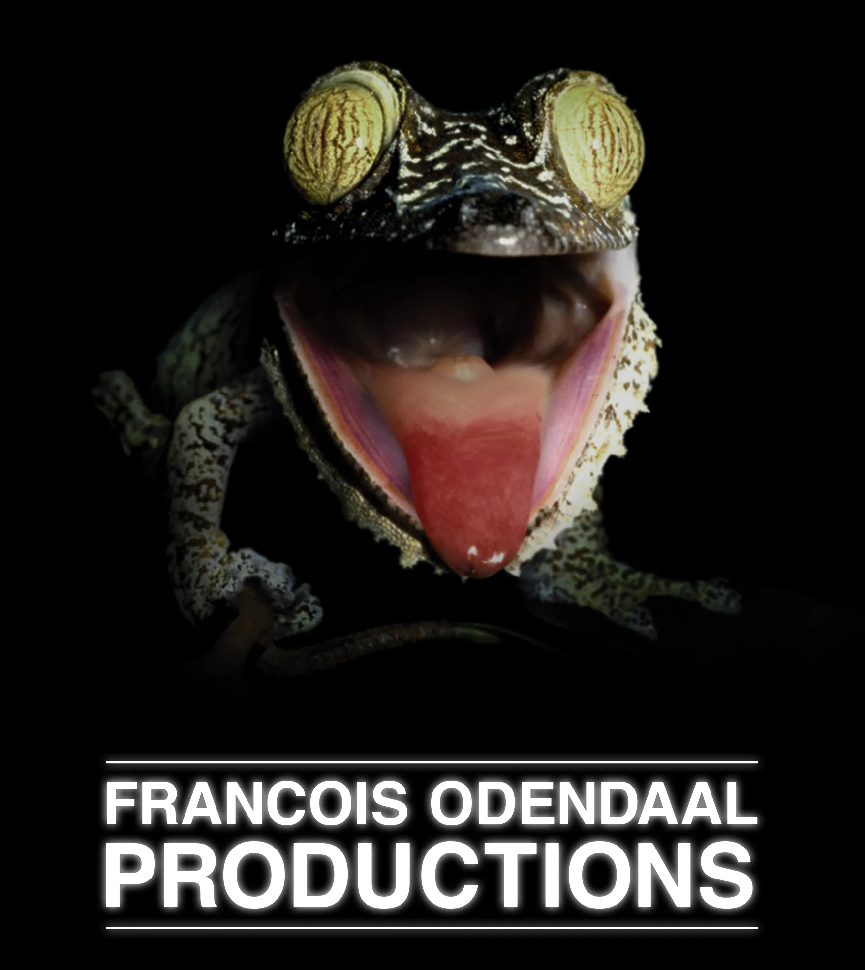 Francois Odendaal Productions , South Africa: help raise awareness about nature and its values in an entertaining format, facilitate opportunities for people to experience nature through our work, especially youth, and thus create transformational moments that lead to lifelong personal connections with it.
