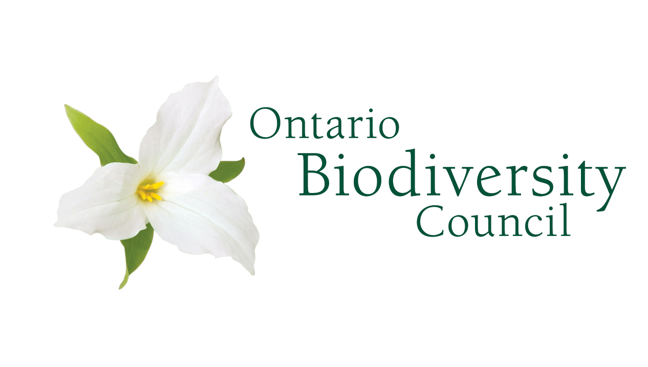 Ontario Biodiversity Council , North America: Formed in 2005 to guide the implementation of Ontarioħ Biodiversity Strategy. As part of its vision to encourage people to value, protect and enhance biodiversity, Council works to engage people, reduce threats, enhance resilience and improve knowledge. 