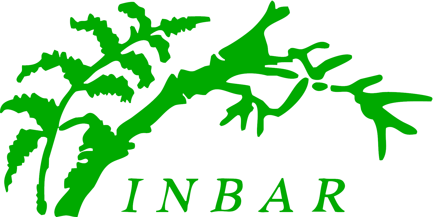 International Network for Bamboo and Rattan , Asia: A multilateral development organization for the promotion of bamboo and rattan.