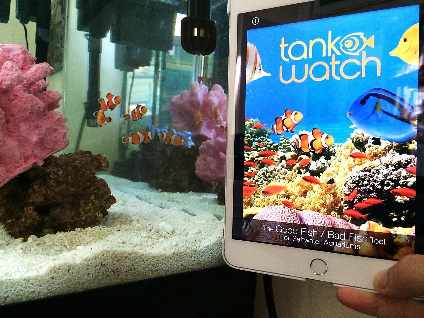tank watch 2.jpg