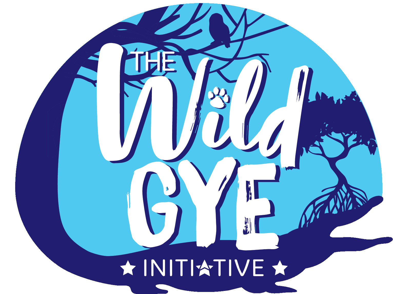 The Wild GYE Initiative , South America: Producing an immersive audiovisual project on Guayaquil, Equador's hidden natural and urban sites. Aimed to inspire and arouse interest to the nearly 3 million Guayaquileños and more than 500,000 foreign tourists who visit the city. 