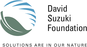 David Suzuki Foundation , North America: Collaborates with Canadians from all walks of life, including government and business, to conserve our environment and find solutions that will create a sustainable Canada through science-based research, education and policy work. One of their primary goals is to assist Canadians, especially youth, to learn about their dependence on a healthy environment and the benefits of time in nature through outdoor education and opportunities.