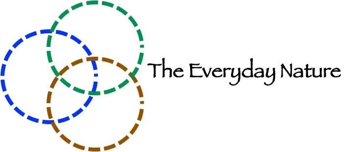 Everyday Nature Project , Global: Conducted in association with the Institute for Resources, Environment, and Sustainability, University of British Columbia, involves people answering a single question ‘what does nature mean for you?’. Through photographs and narrations, The Everyday Nature intends to give a face and voice to nature and natural resources.