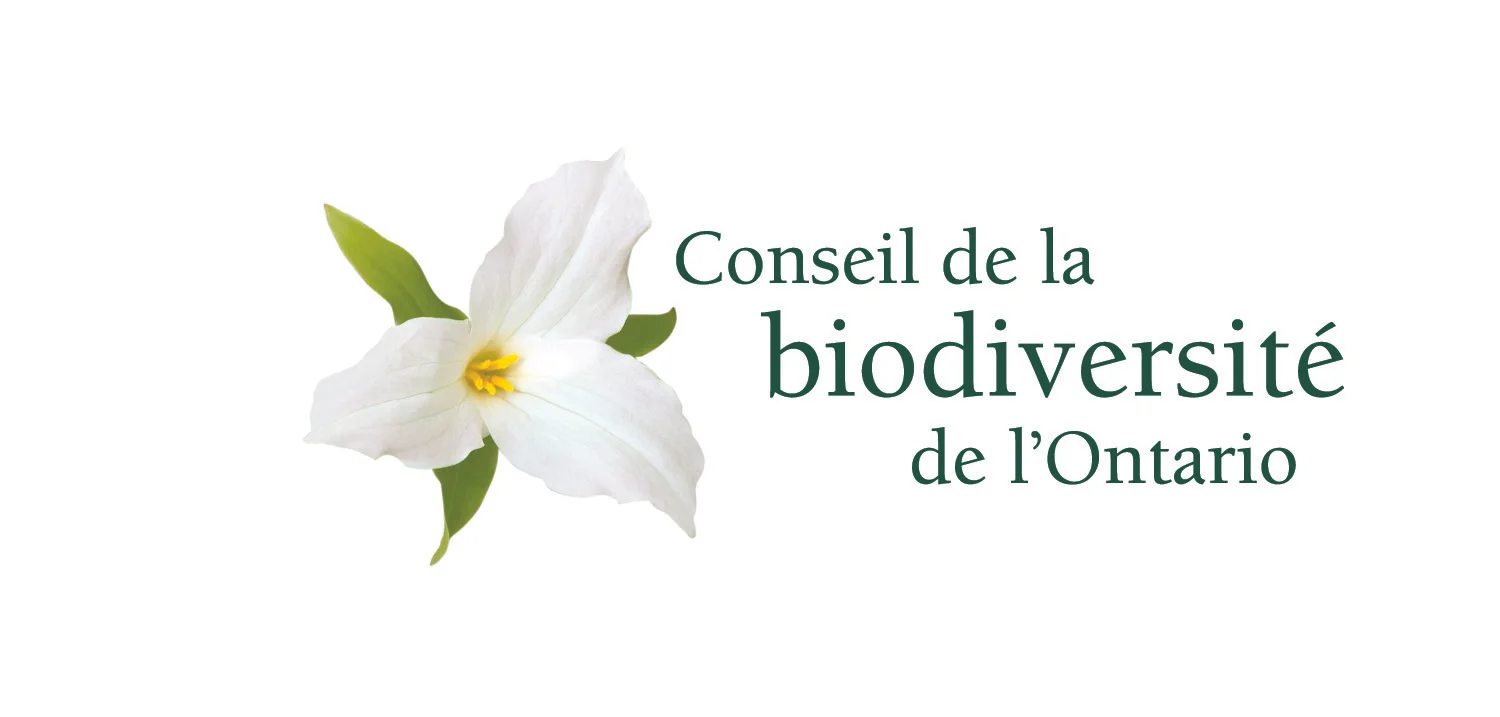 Ontario_Biodiversity_Council_FR.jpg