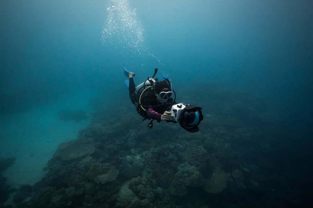 Co-Director Danielle Ryan filming in Palau. 