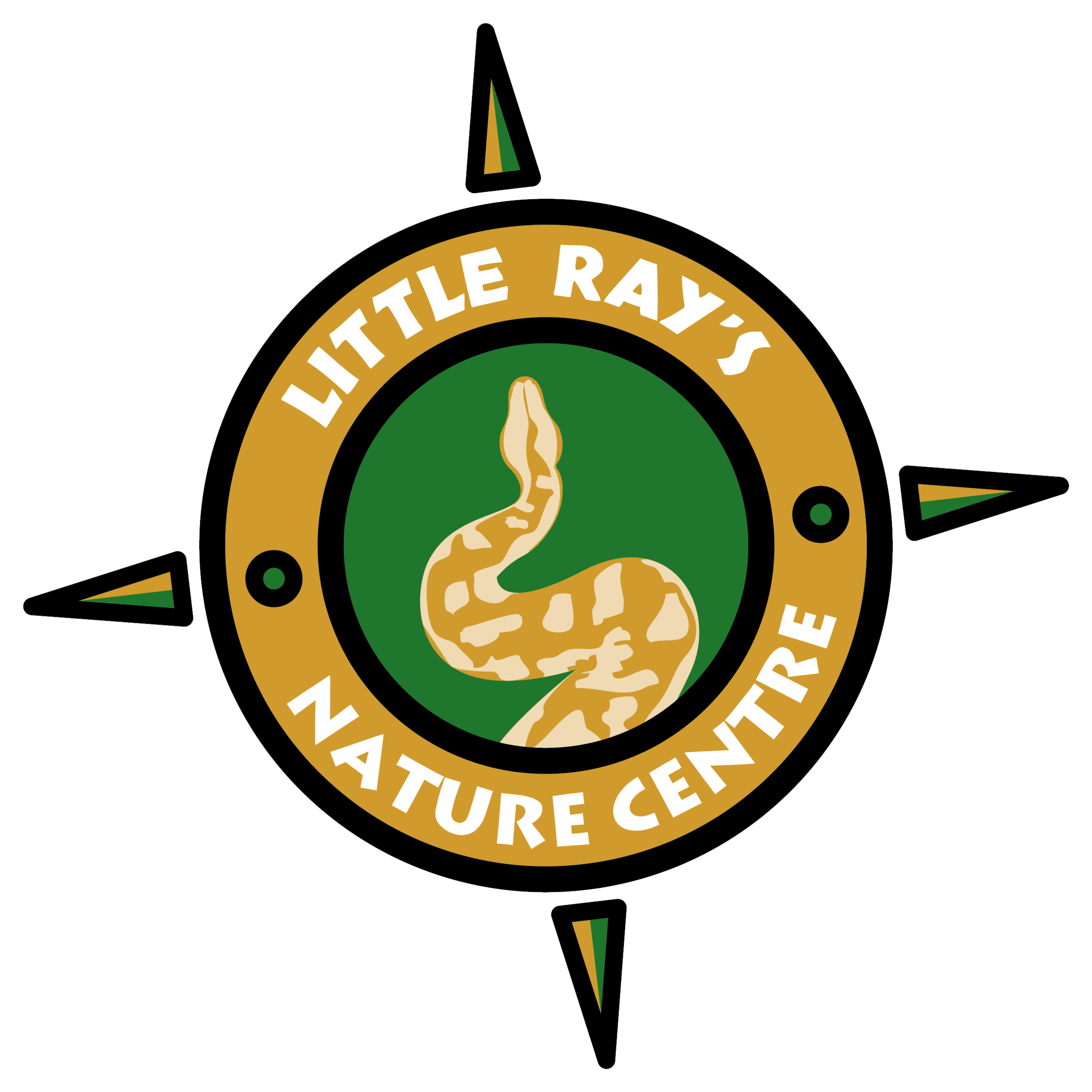 LITTLE_RAYS_NC-no-white-border.png