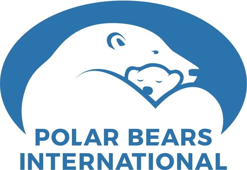 PBI_logo_blue.jpg