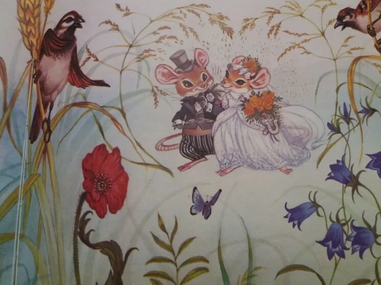 From book: “Verhaaltjes voor het slapen gaan, De Trouwpartij”