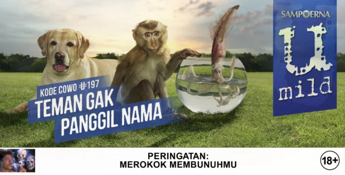 Captura de pantalla 2017-06-07 a las 17.00.52.jpeg