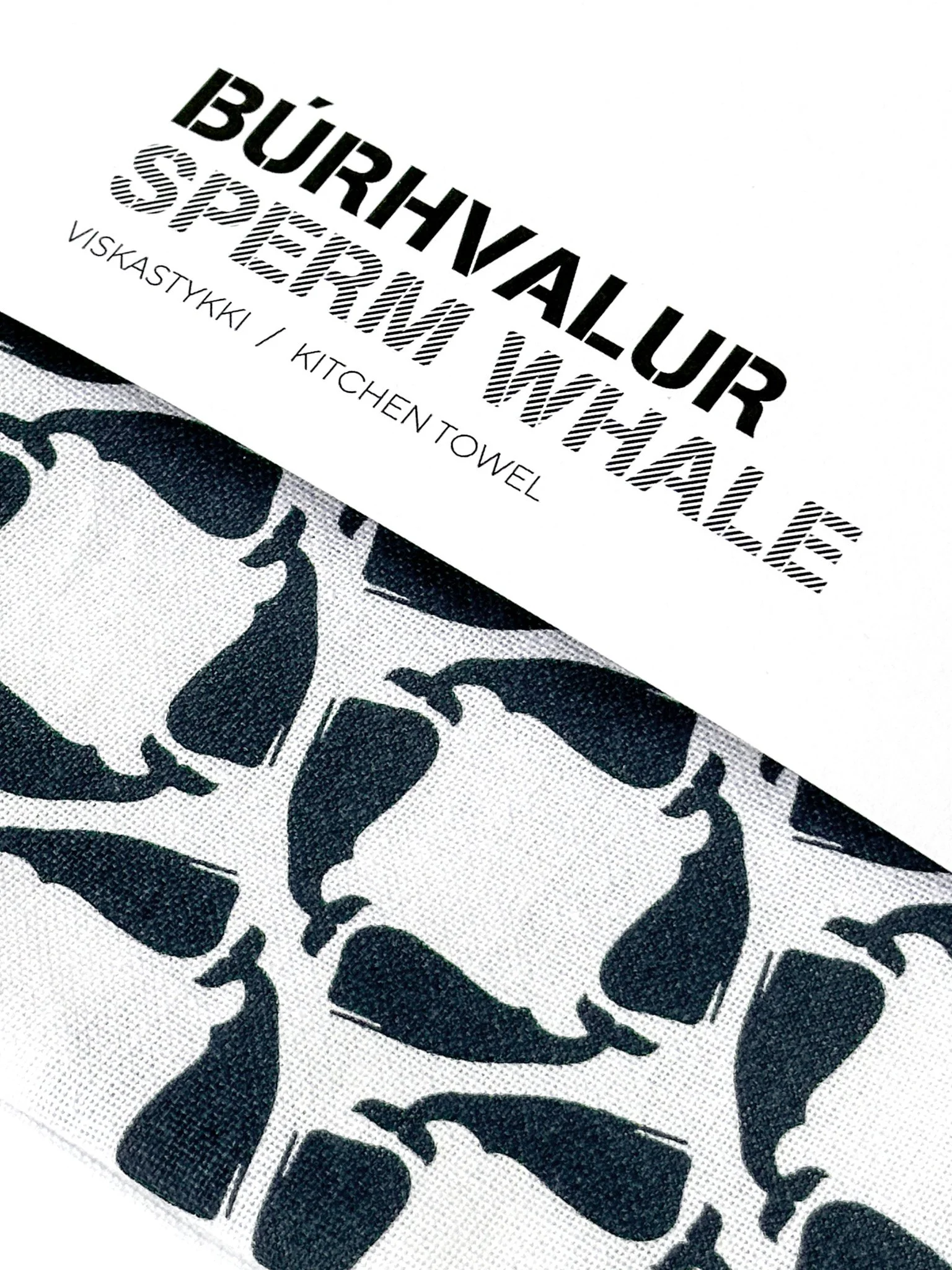 Hvalastykki Búrhvalur closeup