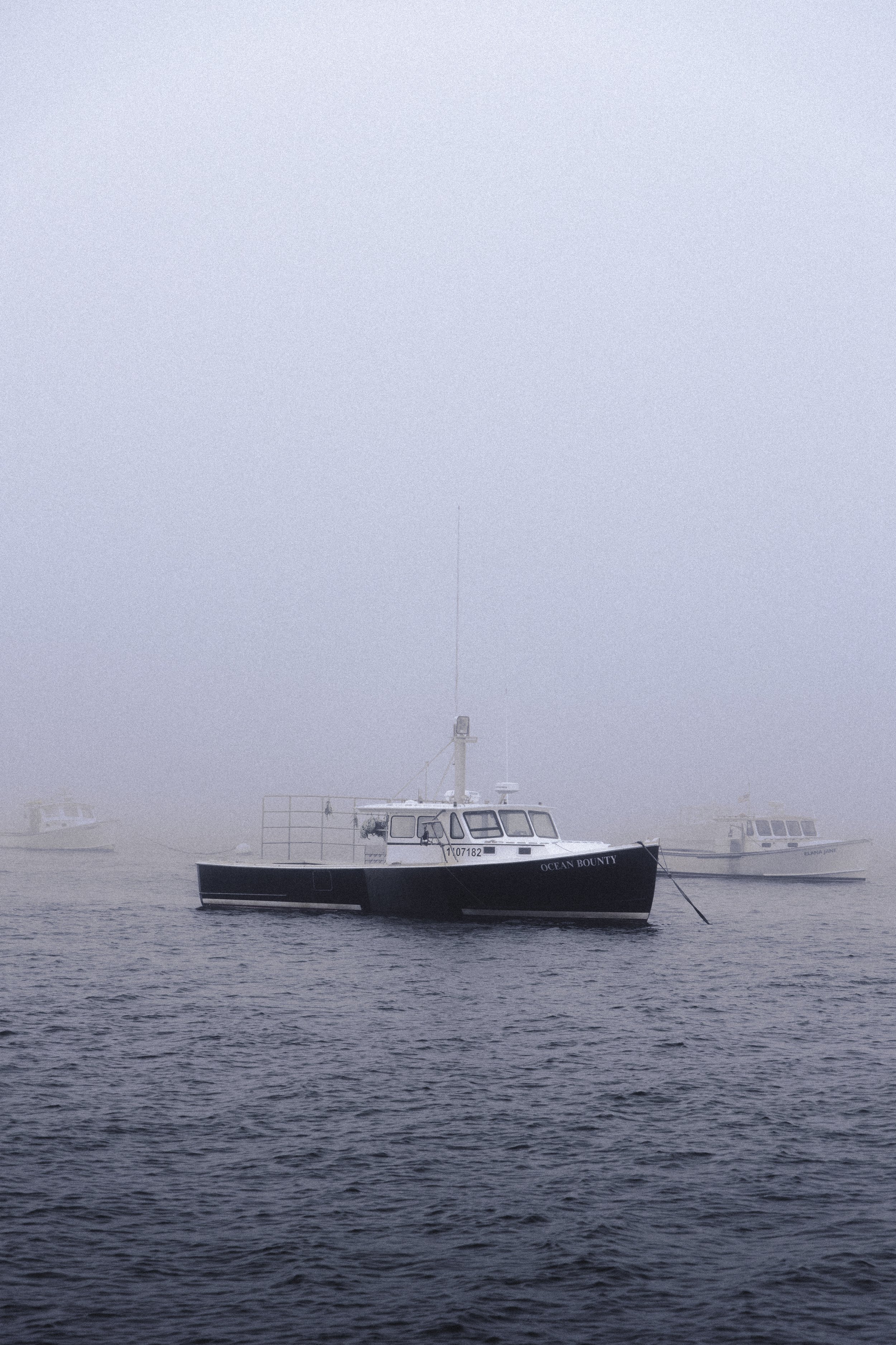 218A6455.jpg