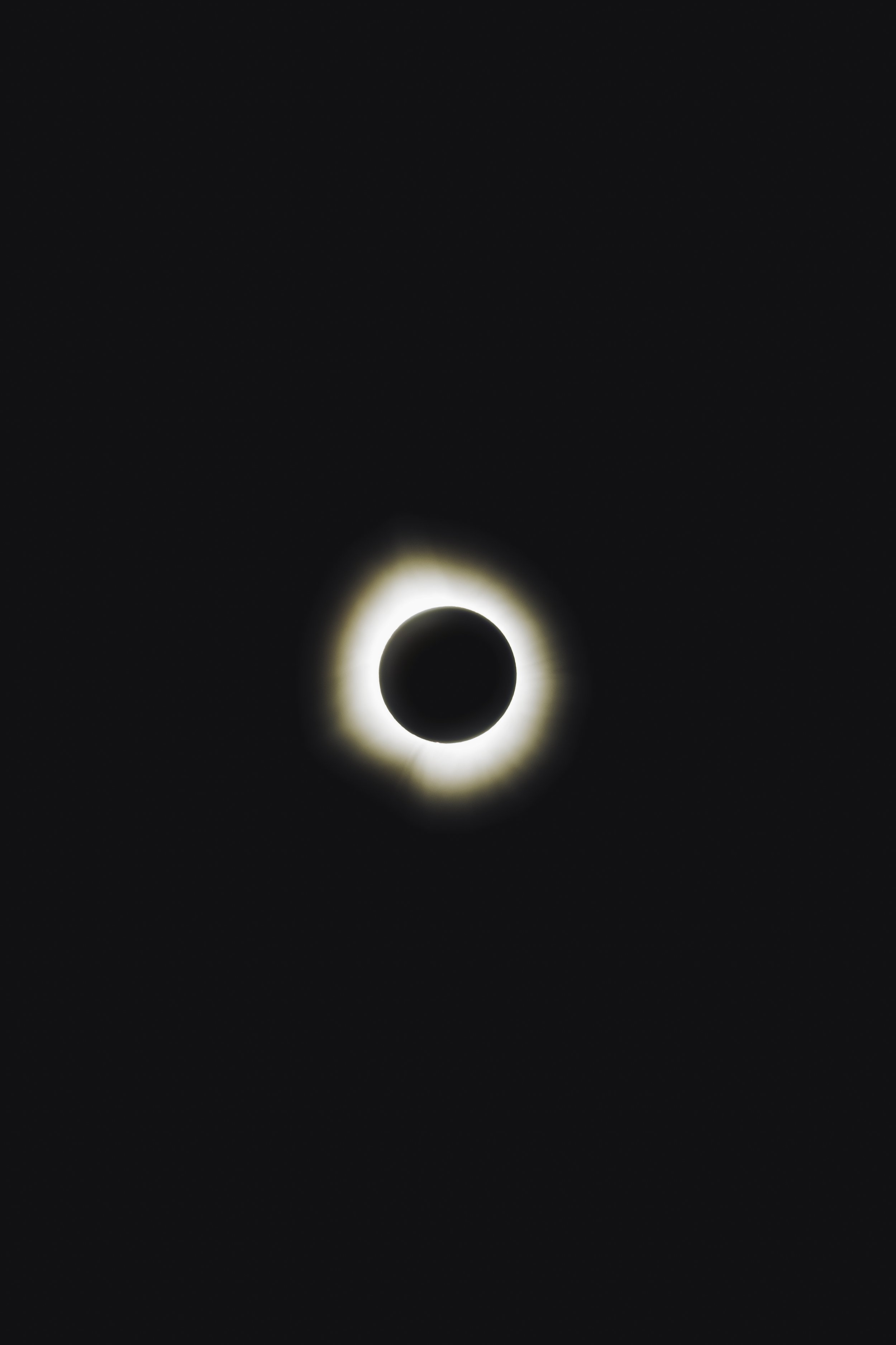 218A6488-Enhanced-NR.jpg