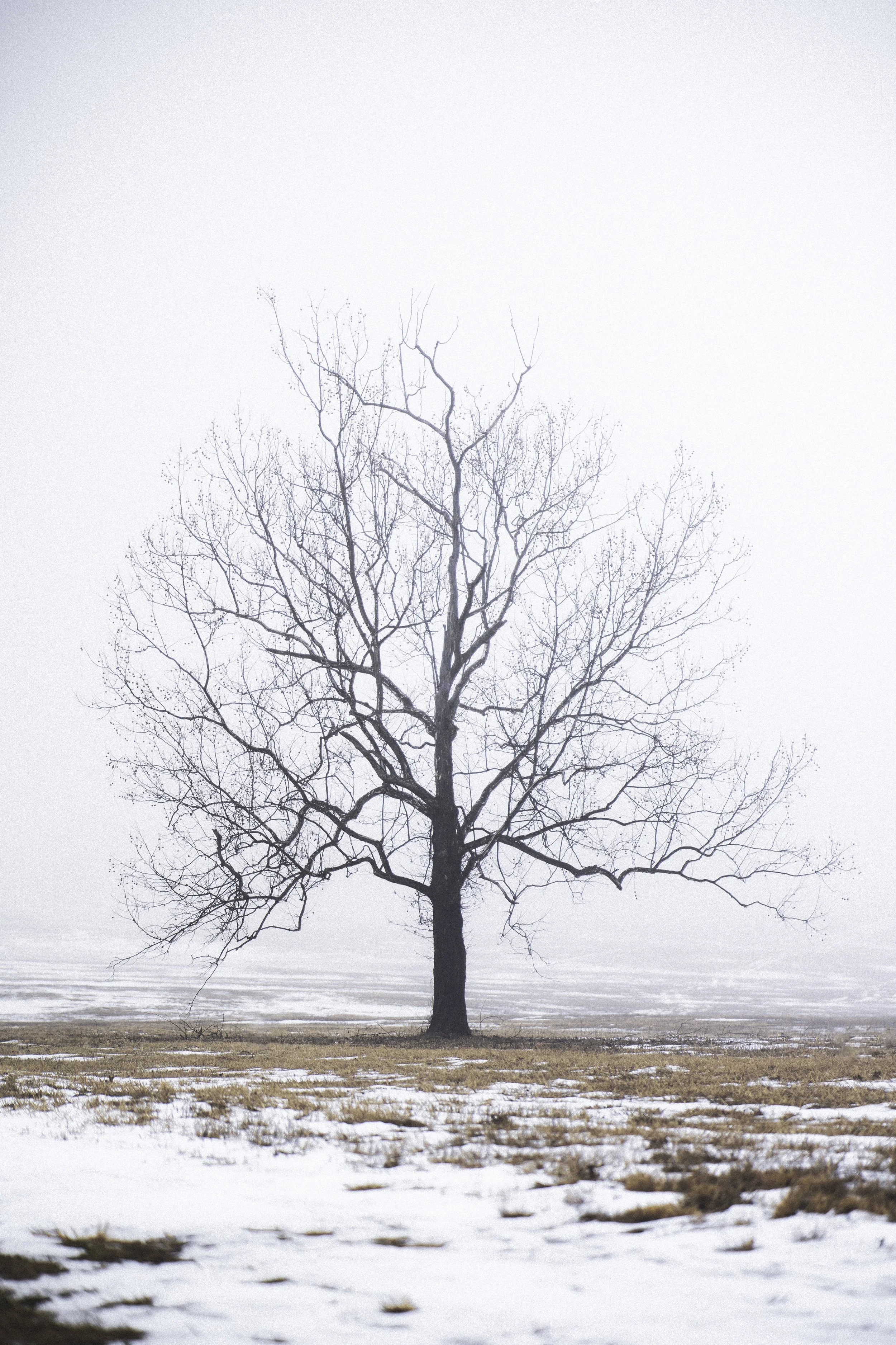 218A8319-Enhanced-NR.jpg
