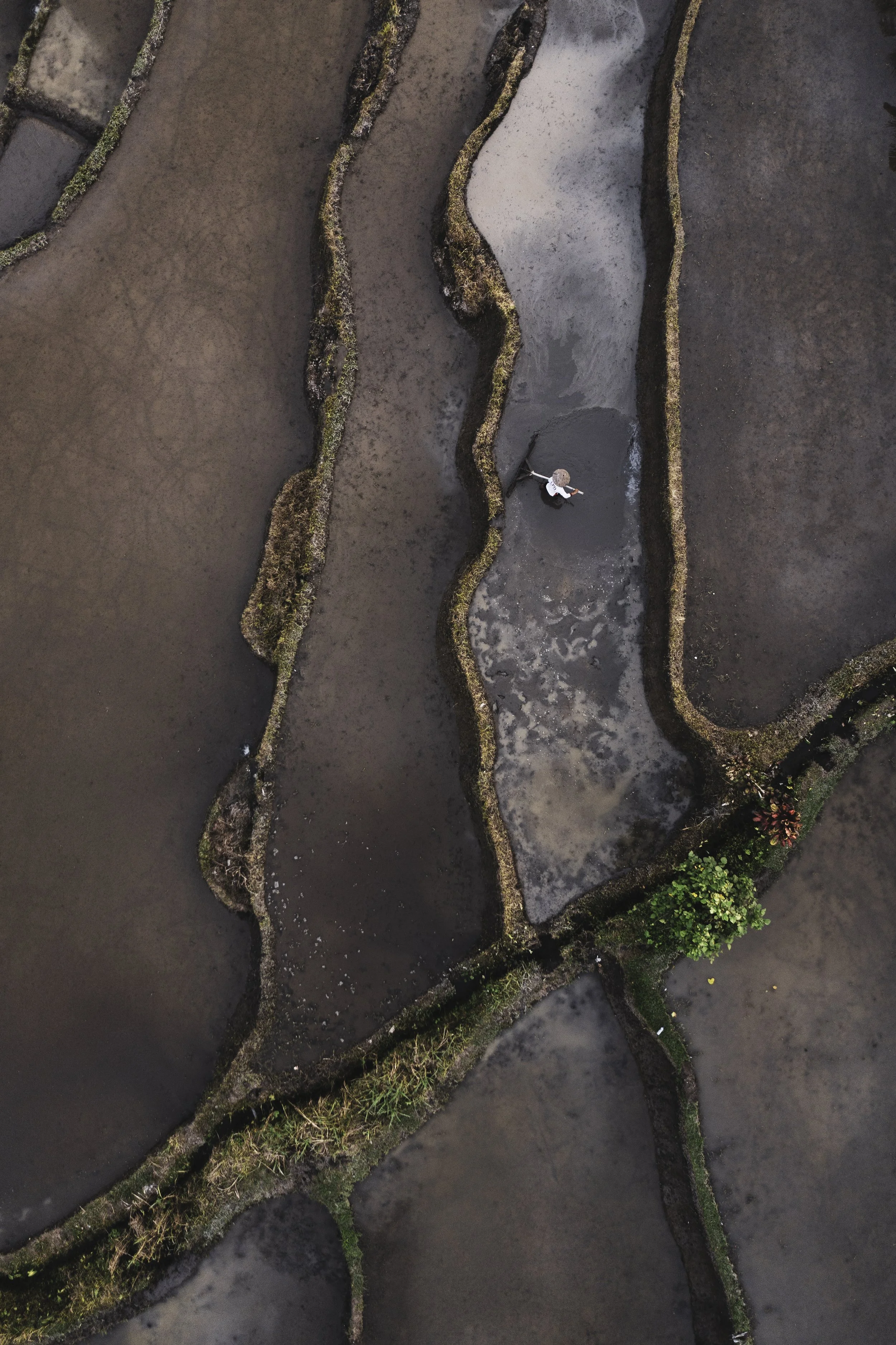 DJI_0333.jpg