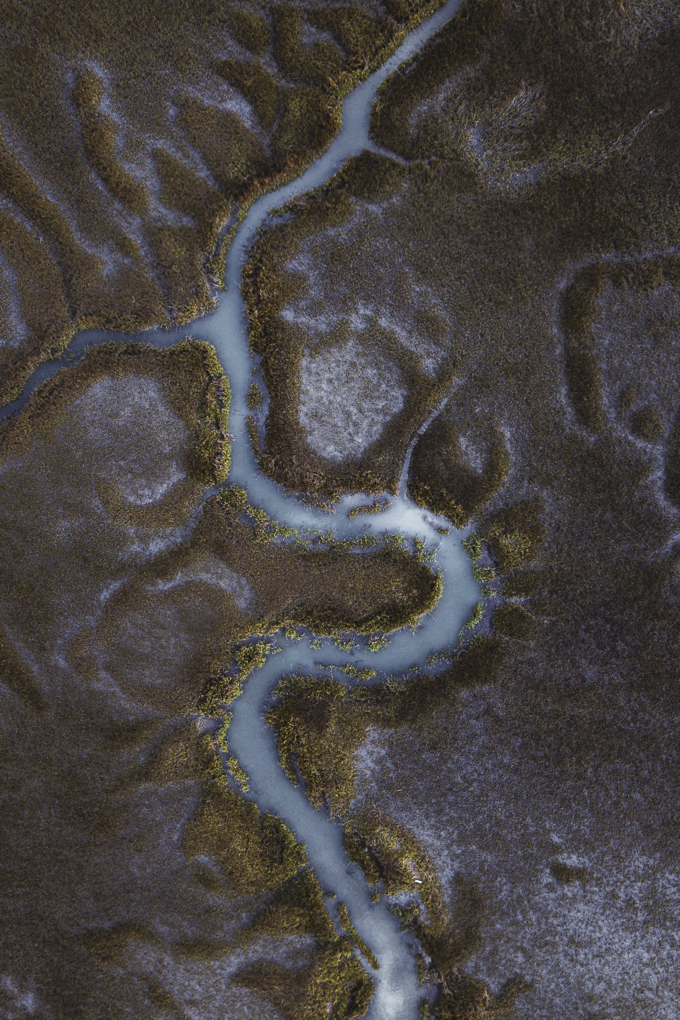 DJI_0478.jpg