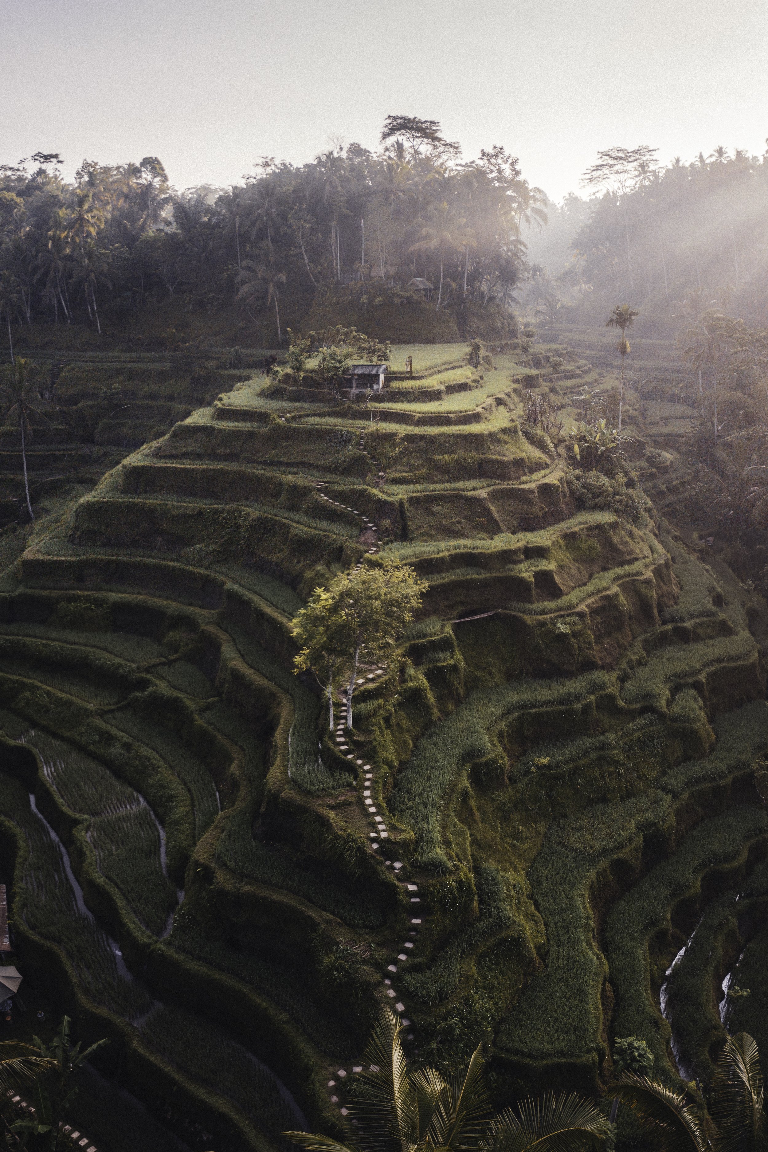 DJI_0479-Pano.jpg