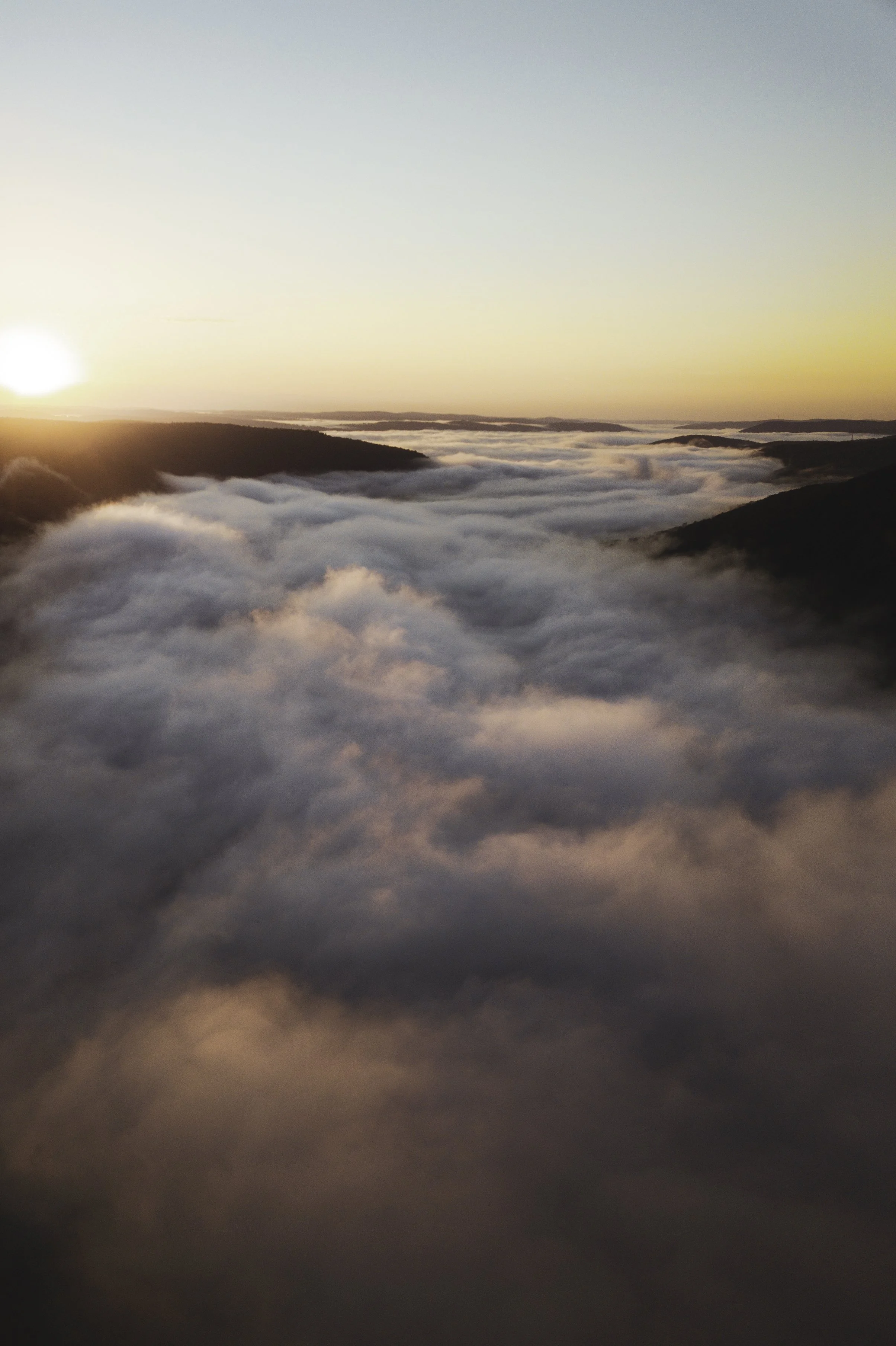 DJI_0978.jpg