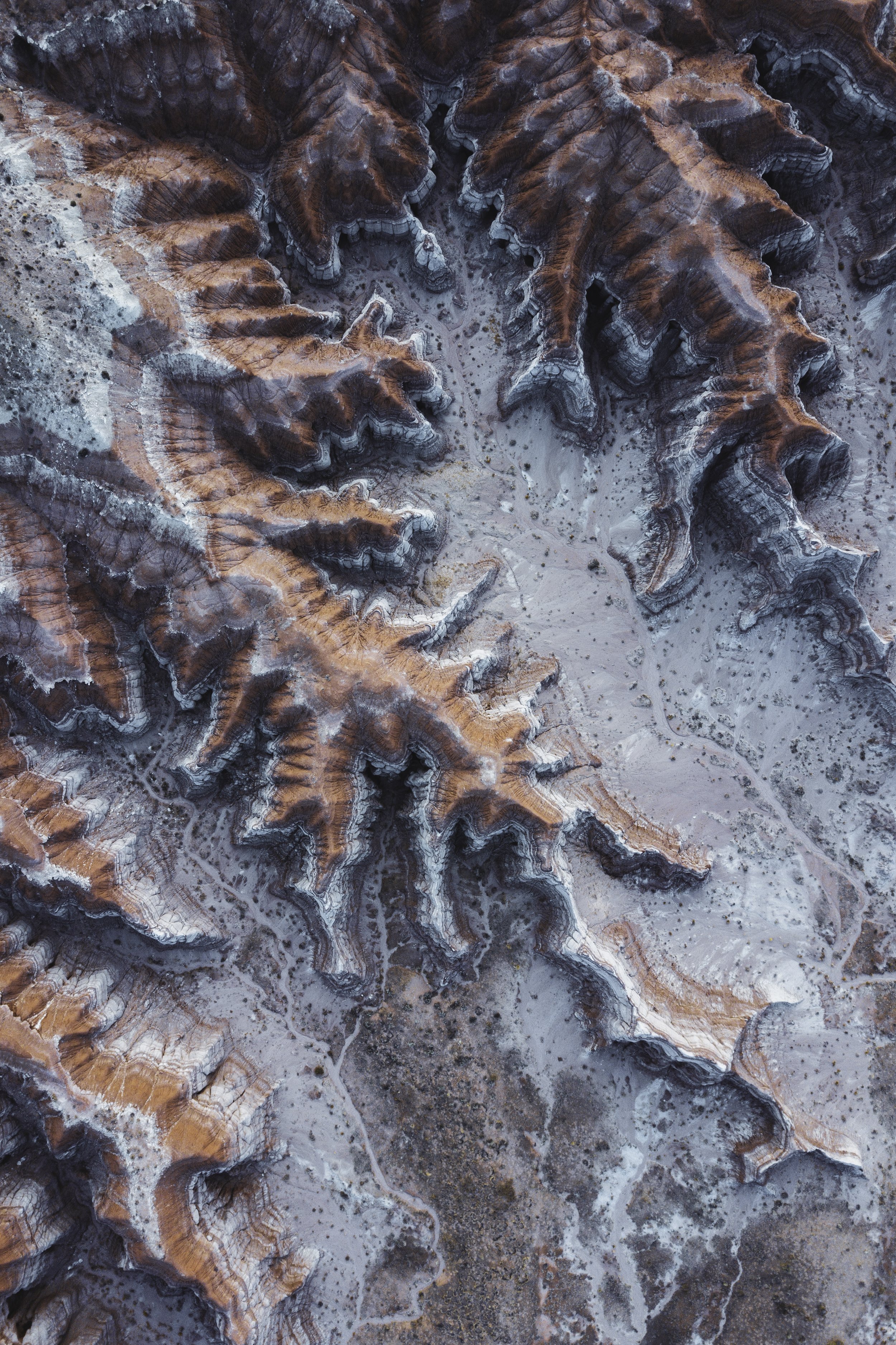 DJI_0998.jpg