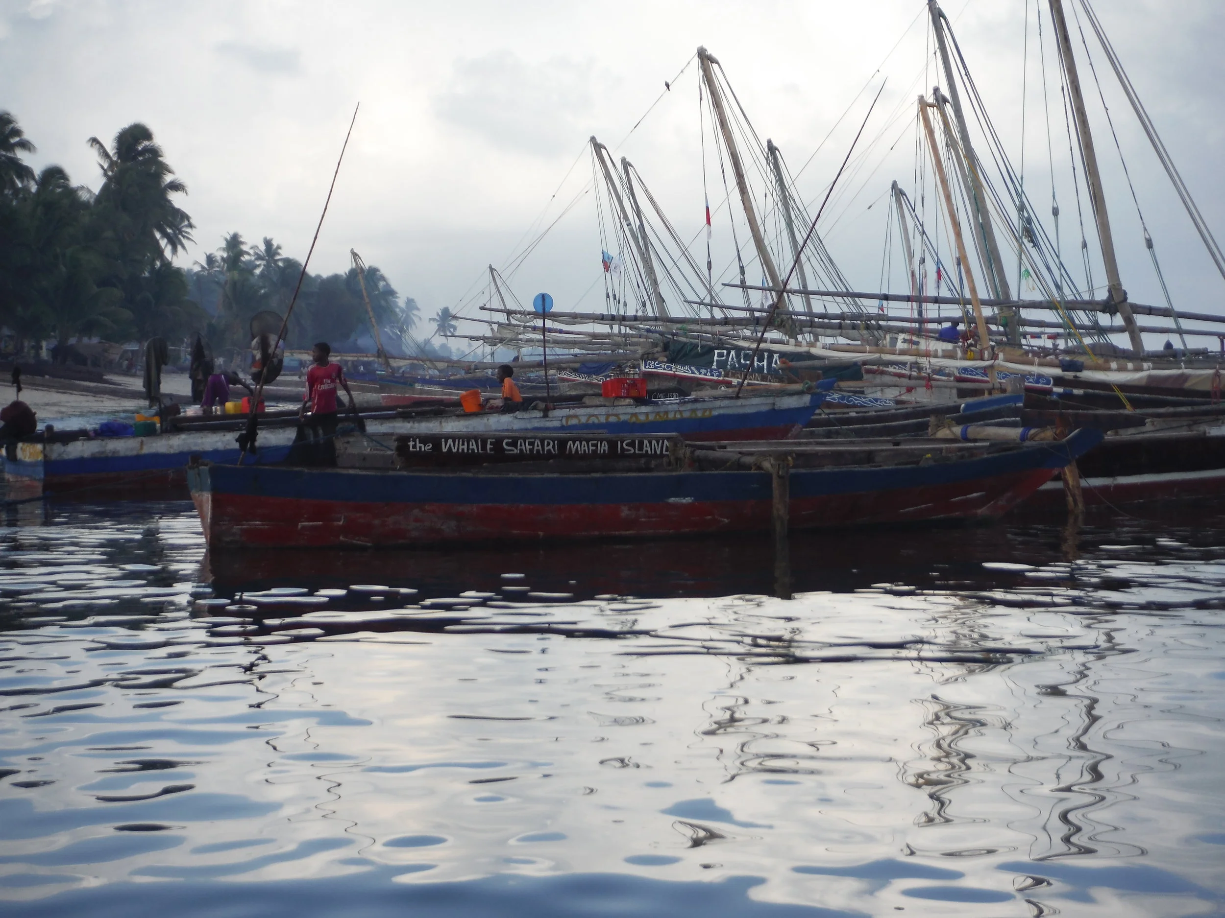 Traditional Boats