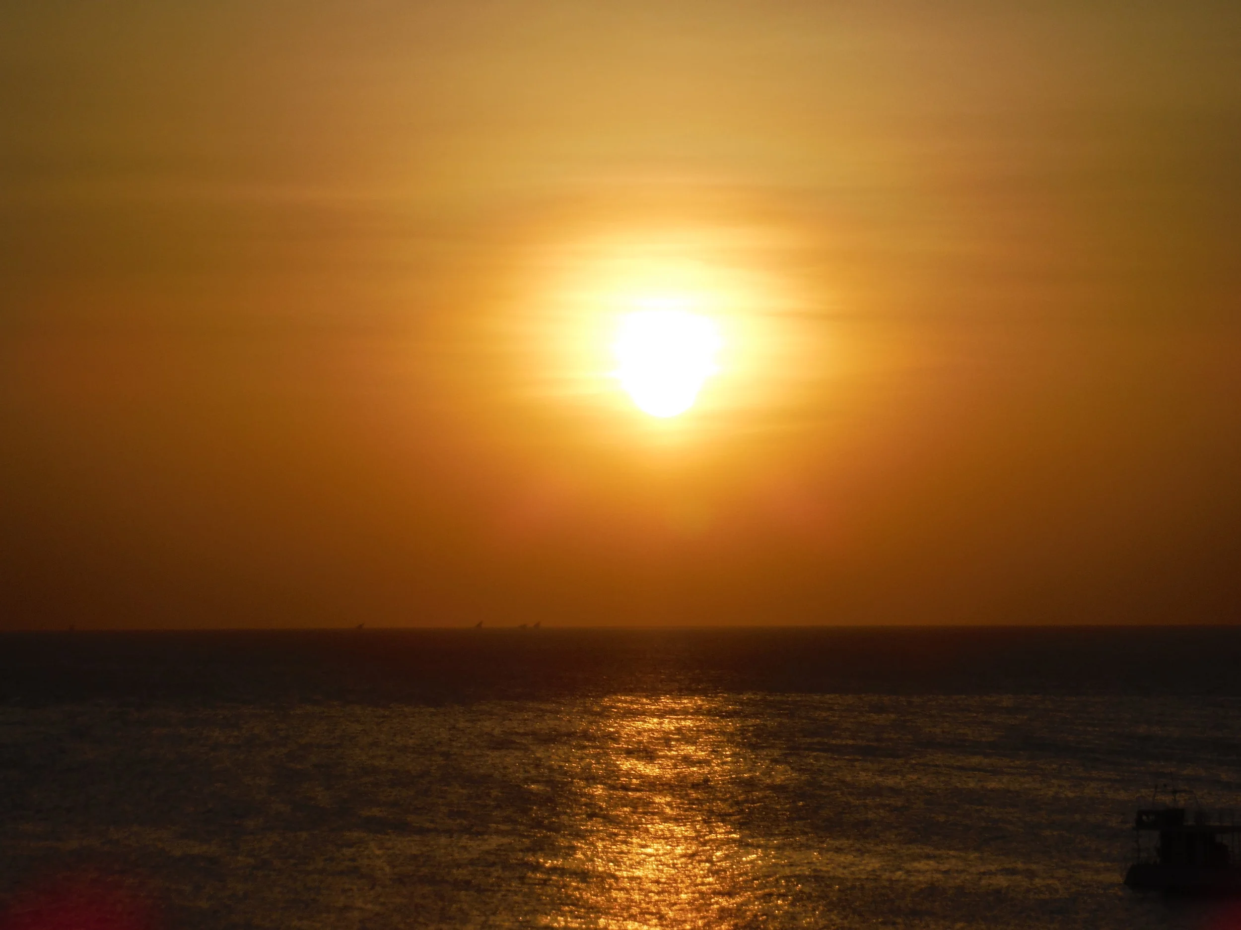 DSCF0498.JPG