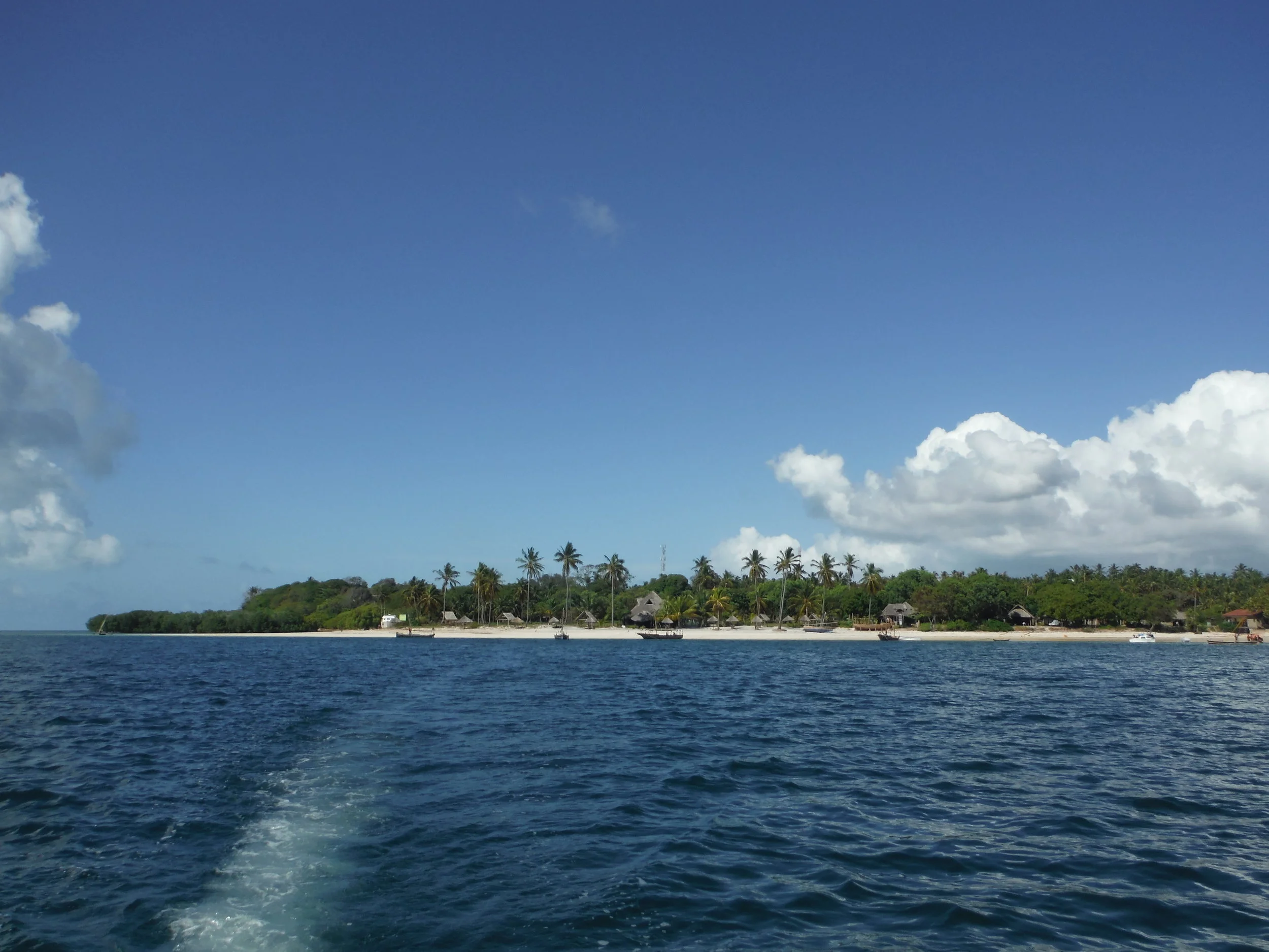DSCF1381.JPG