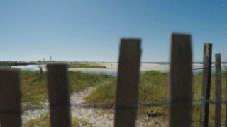 Nested Sequence 14.gif