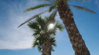 Nested Sequence 15.gif