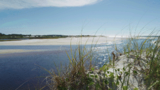 Nested Sequence 16.gif