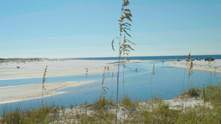 Nested Sequence 26.gif