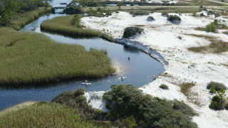 Nested Sequence 77.gif