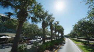 Nested Sequence 85_1.gif