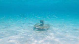 Nested Sequence 13.gif