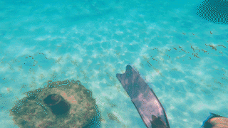 Nested Sequence 18.gif