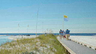 BUNDLE THUMB3.gif