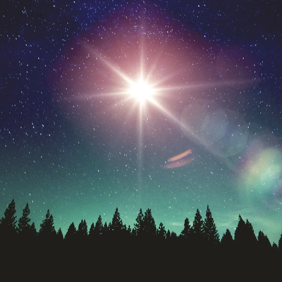 Longest Night - Open Sanctuary