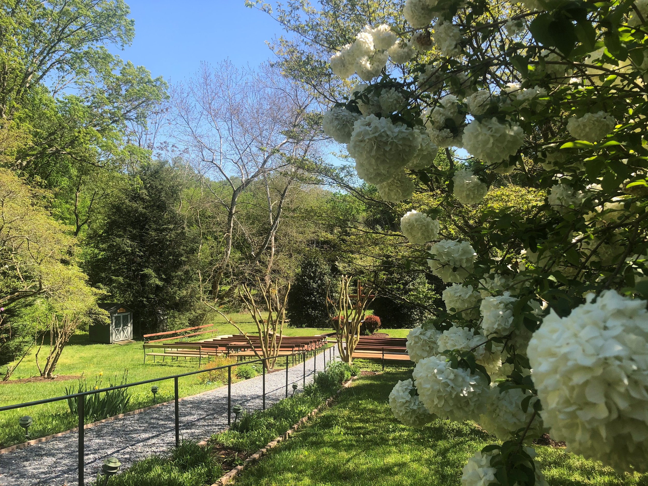 green cathedral 3.jpg
