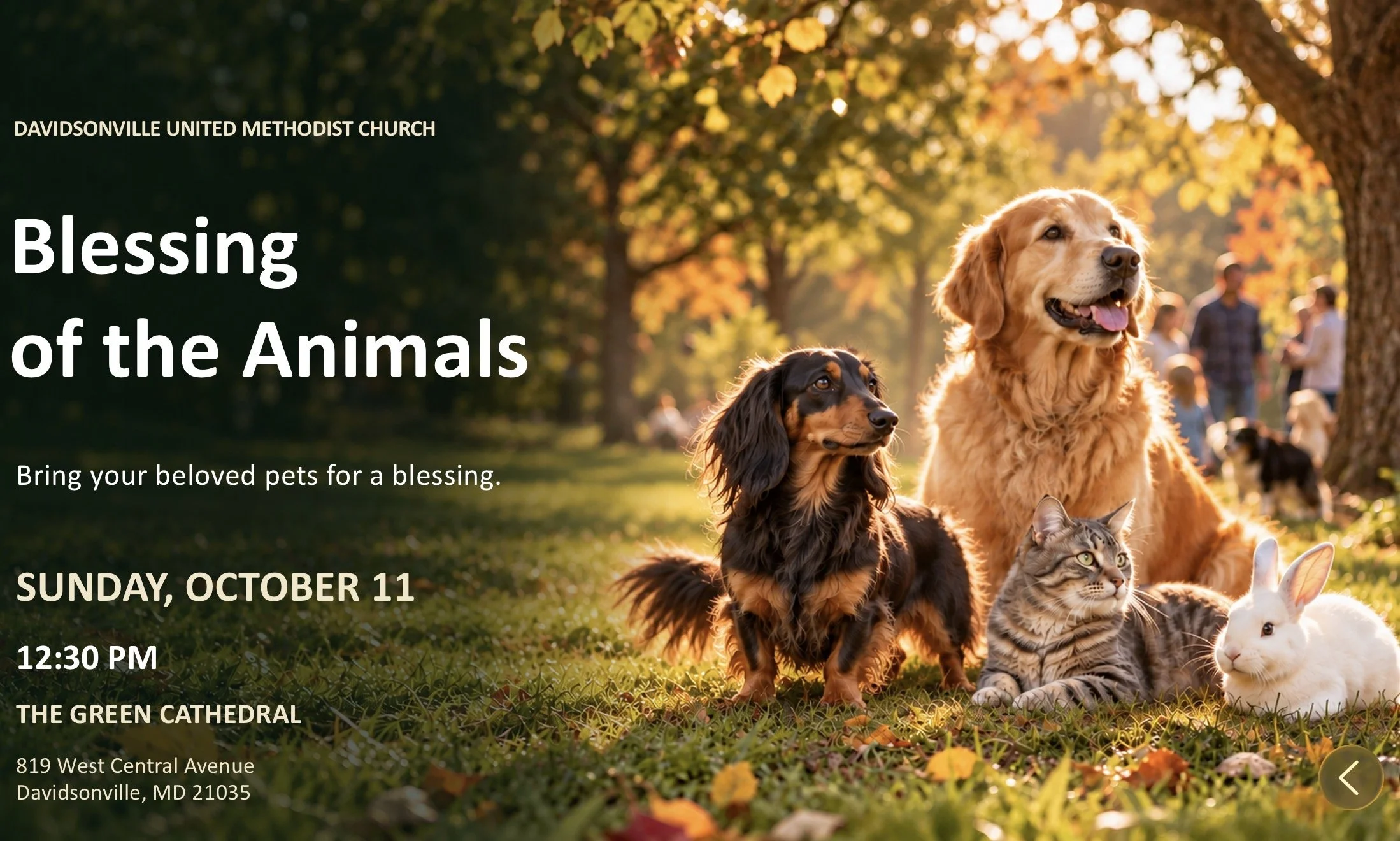 Blessing of the Animals