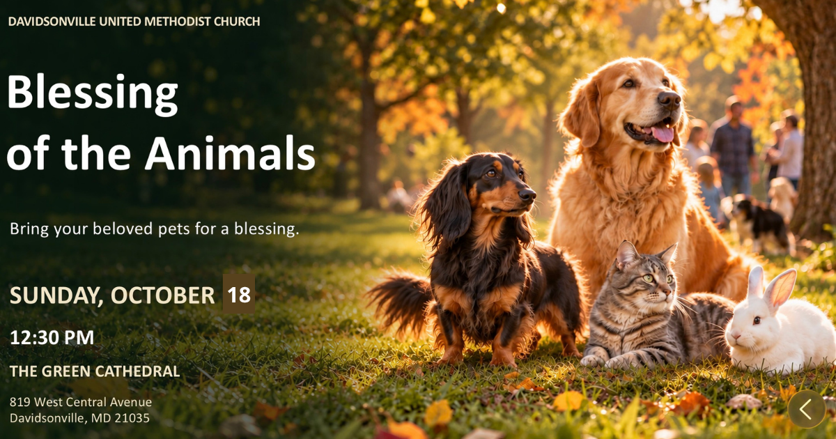 Pet blessings postponted.png