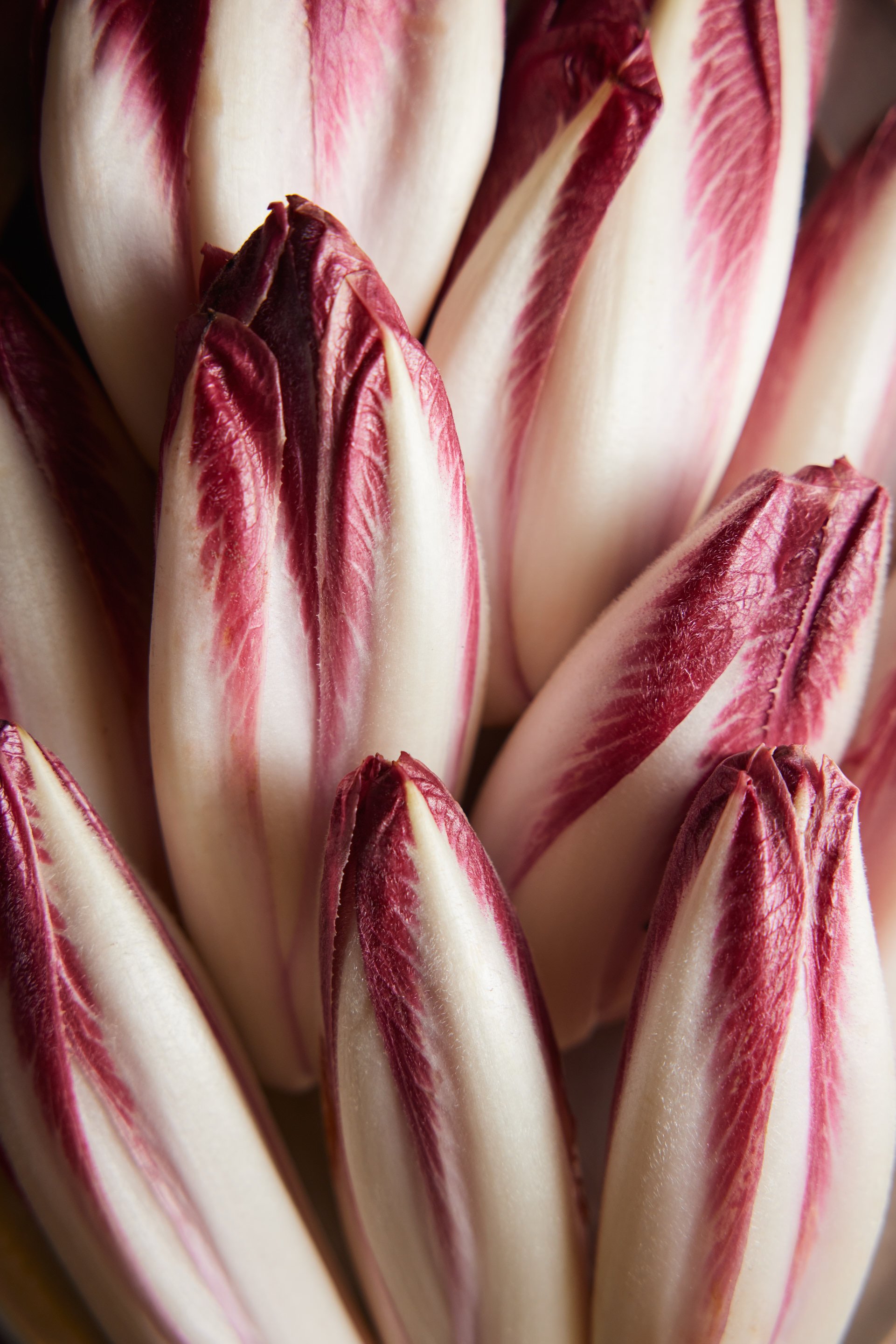 01 INGREDIENTS 011 1.jpg