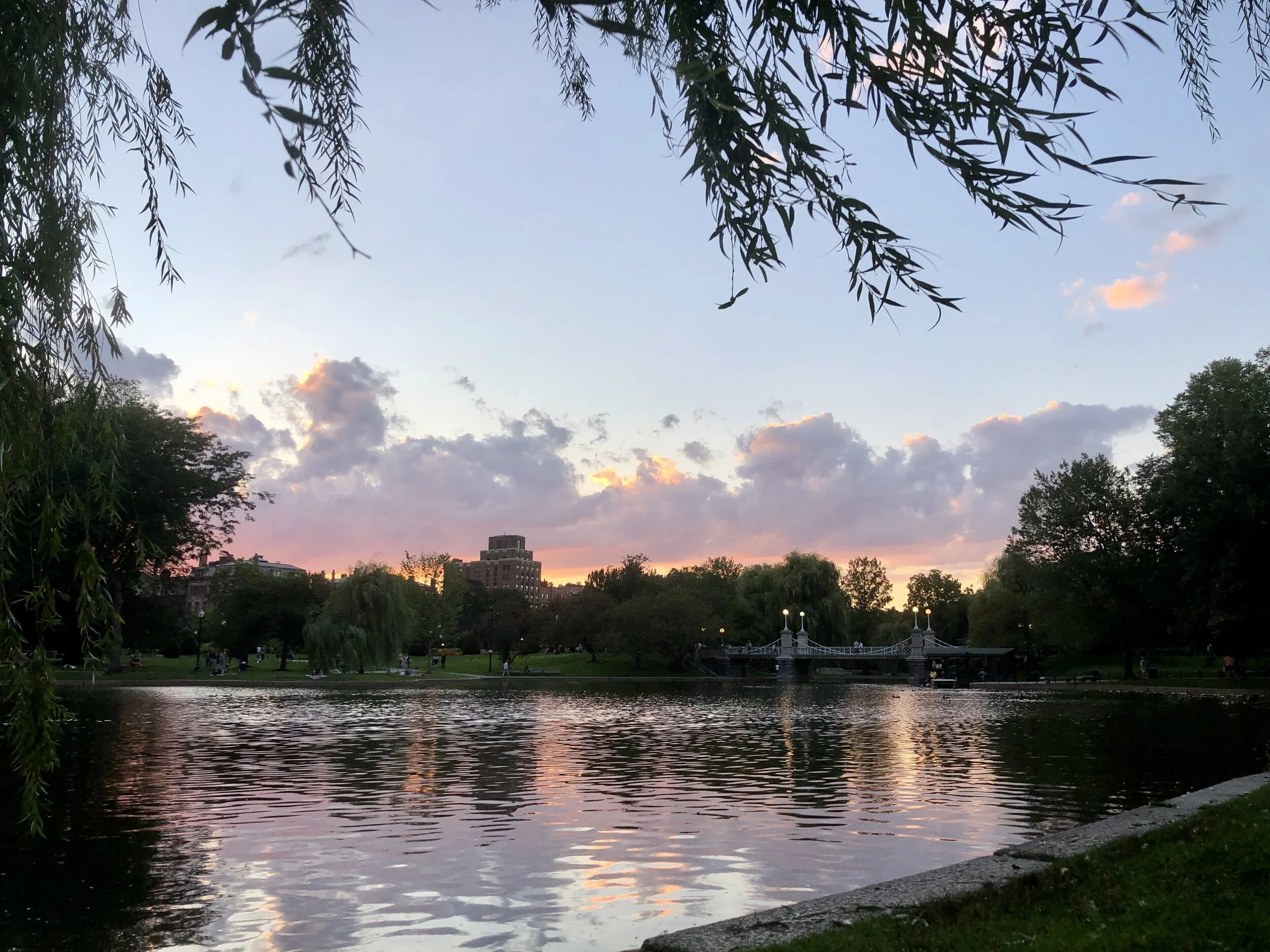  Boston Public Garden 