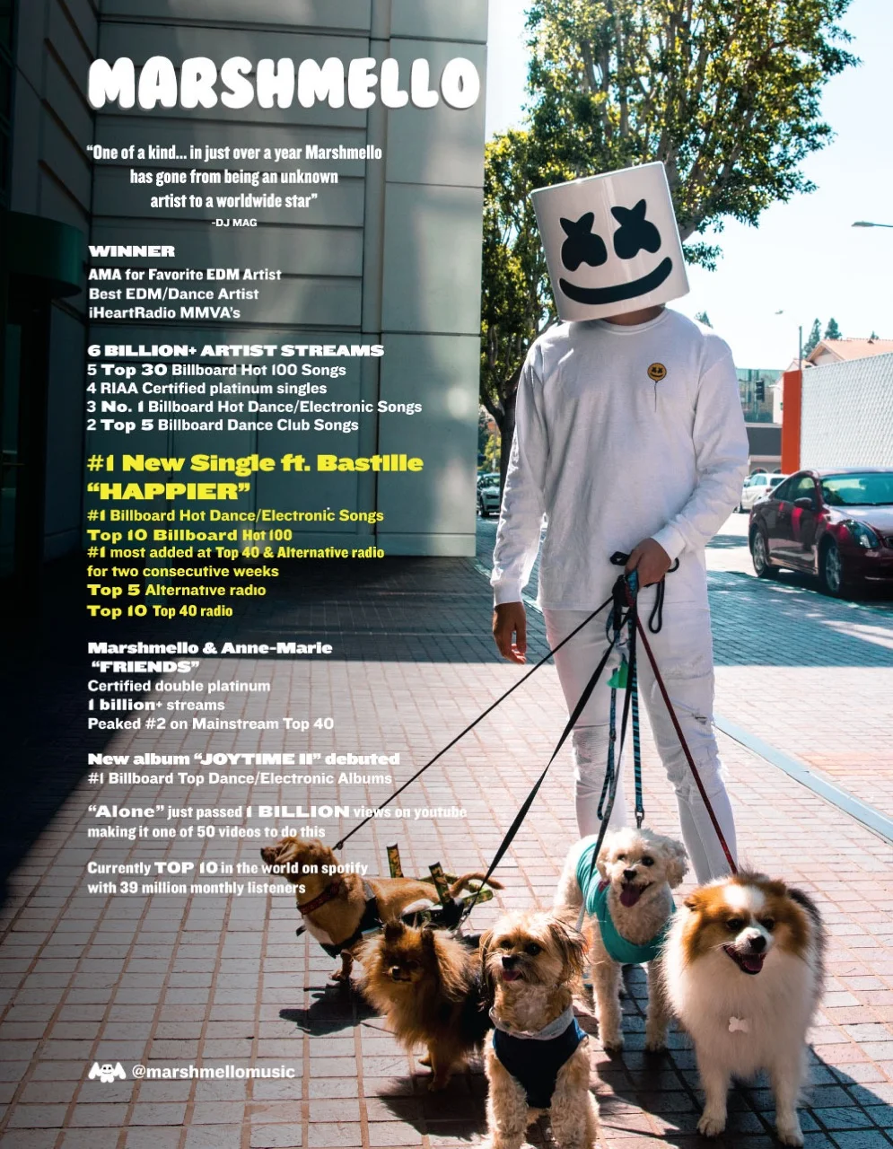 MARSHMELLO-grammy_mailer-FINAL.jpeg