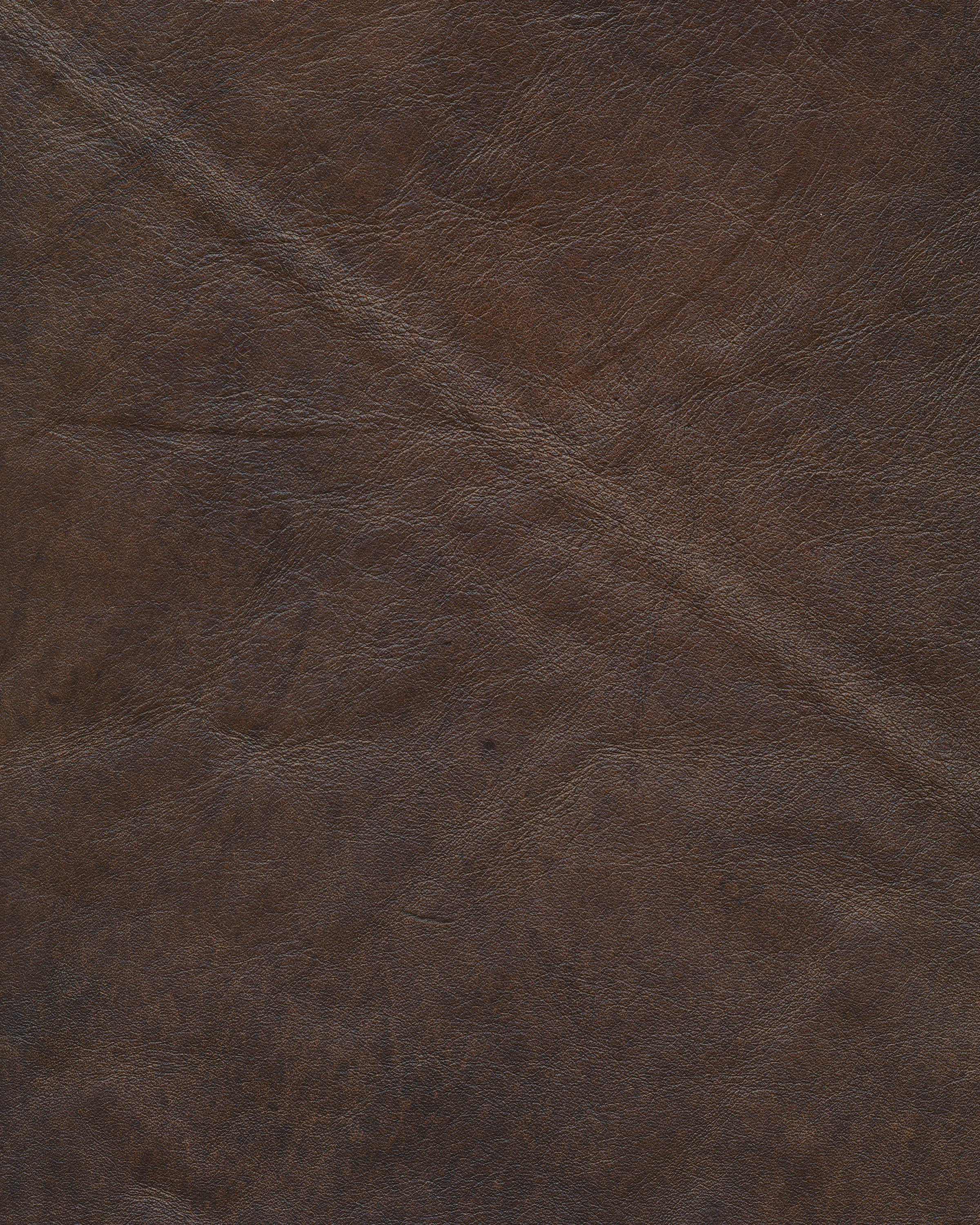 1157_chocolate.jpg